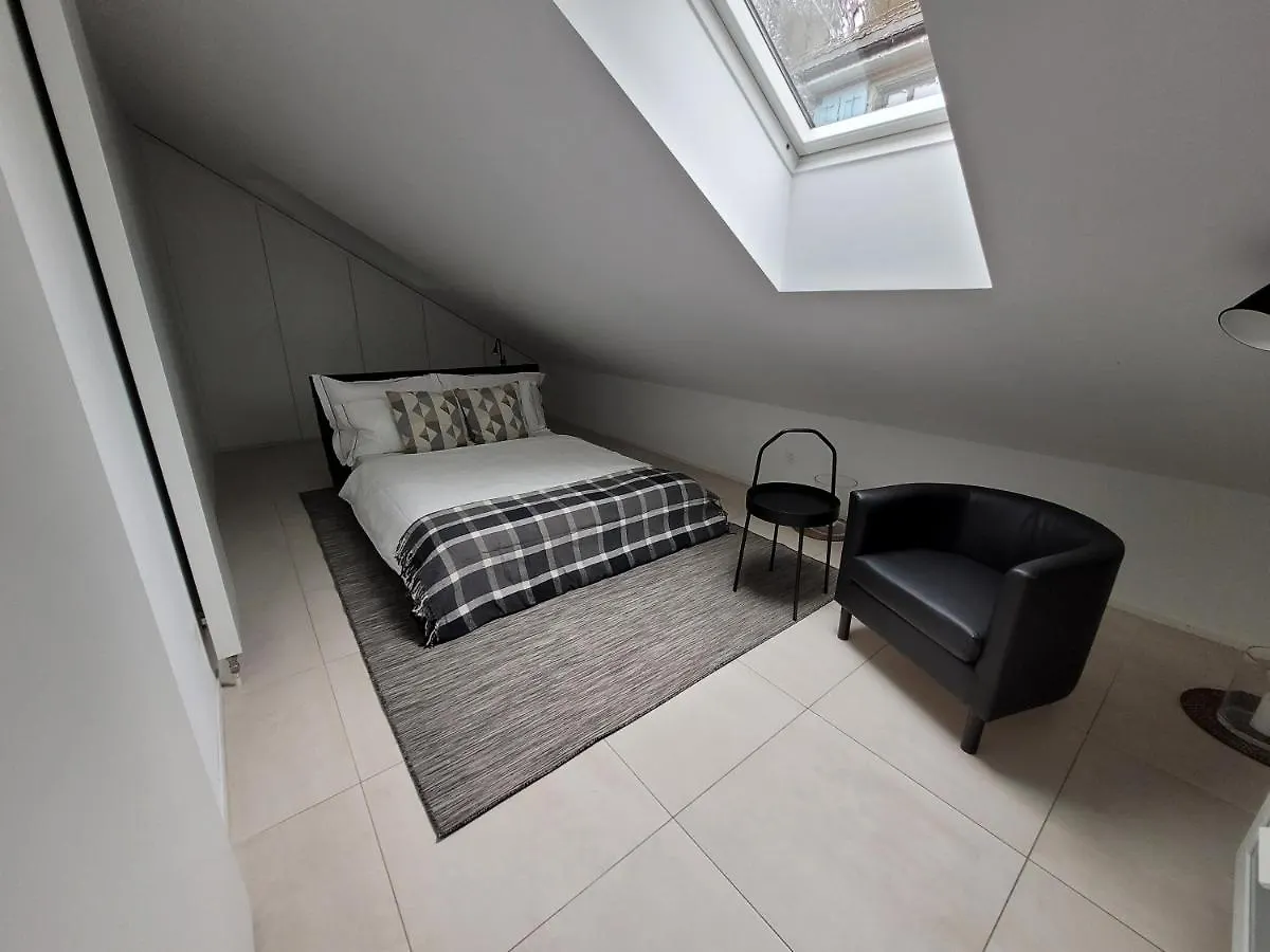 Zurich Niederdorf - Grossmunster Apartment Switzerland