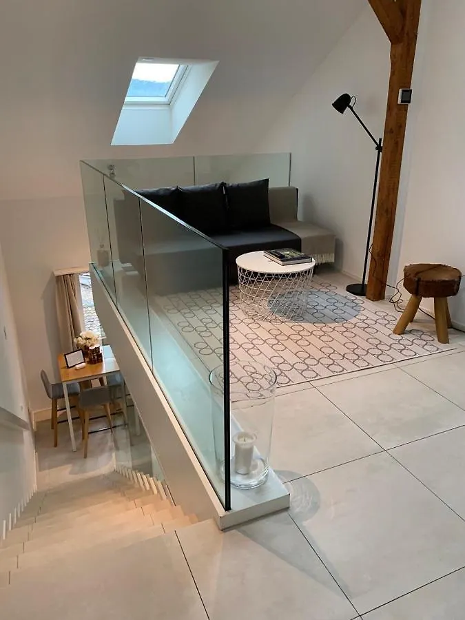 Zurich Niederdorf - Grossmunster Apartment