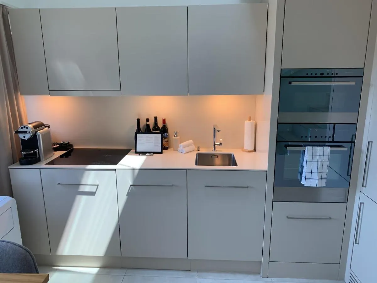 Zurich Niederdorf - Grossmunster Apartment